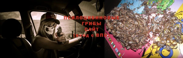 молекула духа Елабуга