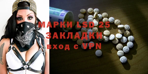 молекула духа Елабуга
