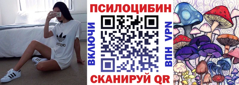 Псилоцибиновые грибы мицелий  Кизел 